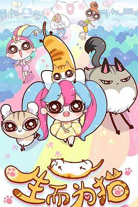 宁波网站优化搜索公司